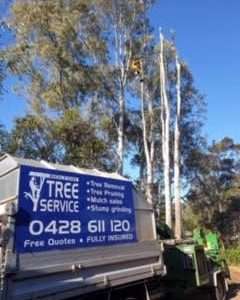 Perth Tree Services
