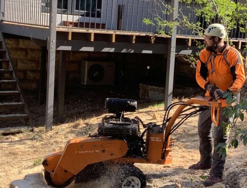 Bolton Tree Services