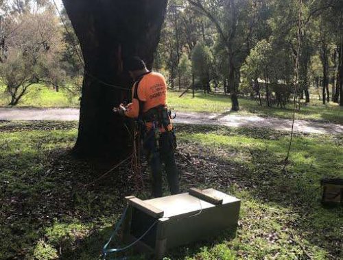 Bolton Tree Service