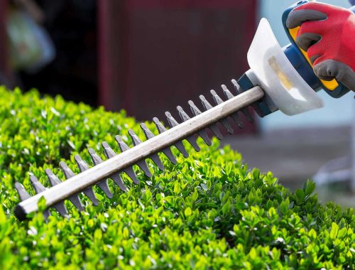 Bolton Tree Service